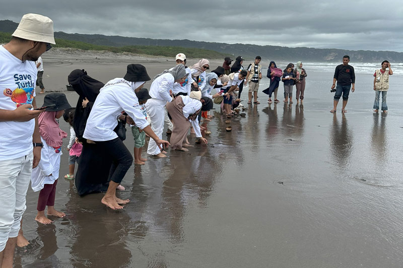 Balancia Ship Agency's Remarkable CSR Initiative: Fostering Marine Life and Conservation in Yogyakarta 3 conservation - Balancia Ship Agency's Remarkable CSR Initiative: Fostering Marine Life and Conservation in Yogyakarta