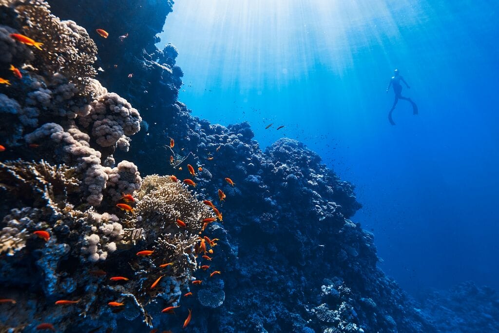 tourism in batam