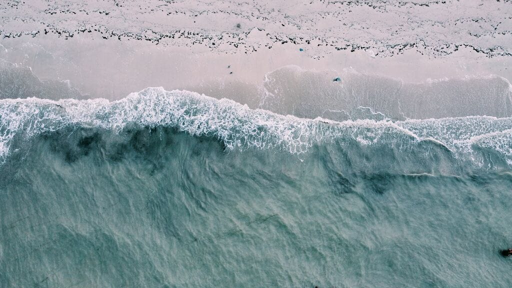 tsunami awareness day