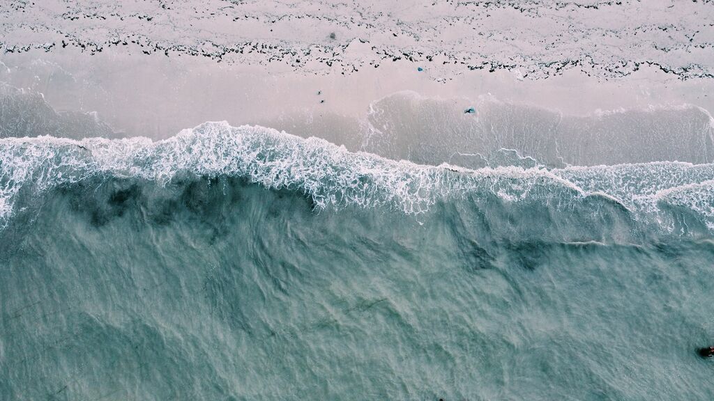 Raising Waves of Awareness: World Tsunami Awareness Day 7 tsunami awareness day