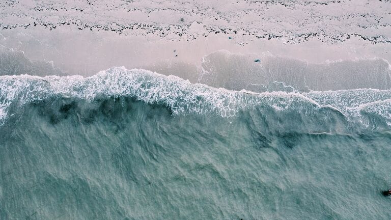 tsunami awareness day