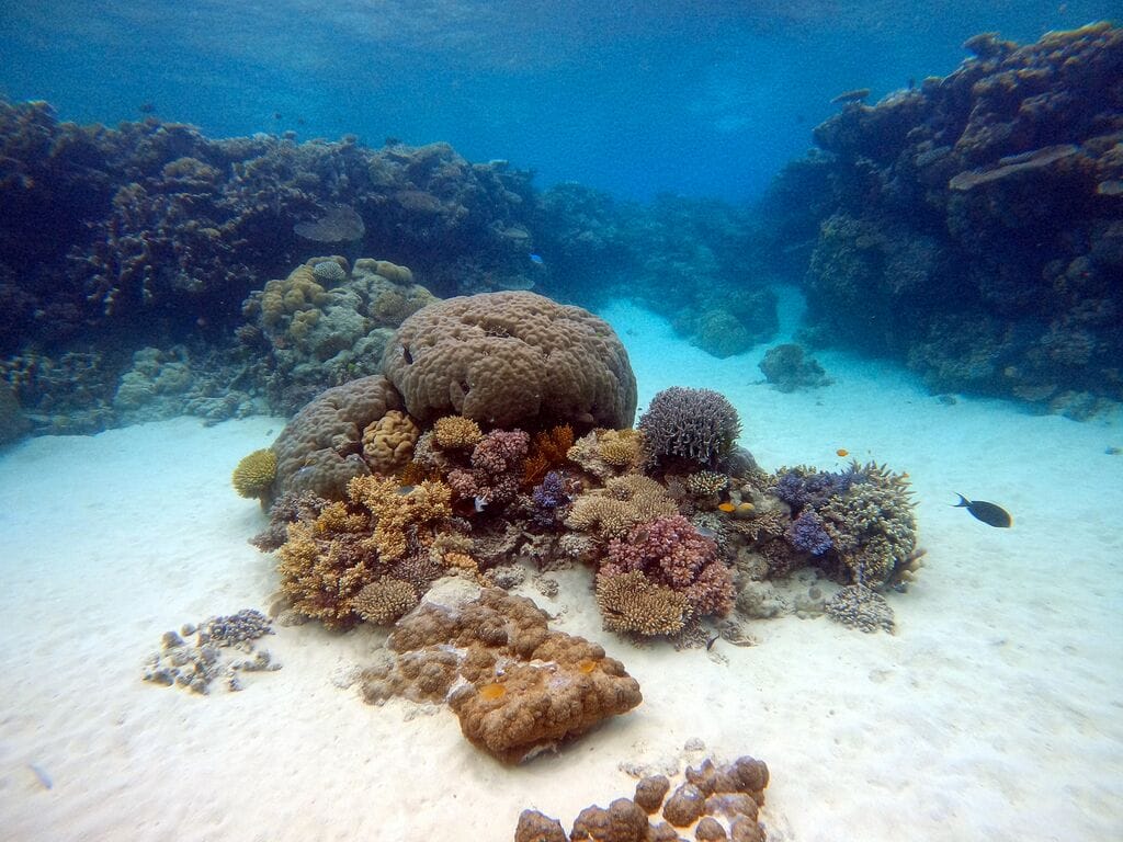 batam marine heritage