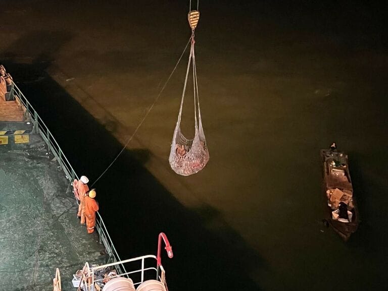 roots of chandlery