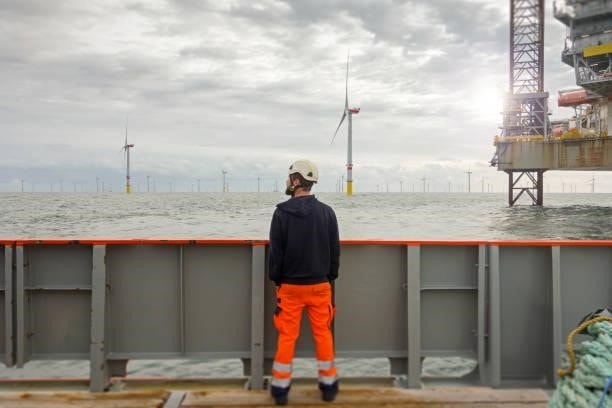 Fueled by The Waves: Transforming Maritime Passion into Unwavering Success 8 maritime passion