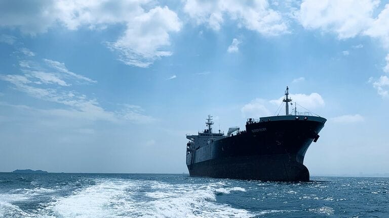 Bringing Family on Board: Understanding Supernumeraries in Maritime Industry