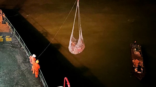 Reliable Husbandry Services : Keeping Ships and Crew Prepared 7 before and after dry docking - Reliable Husbandry Services : Keeping Ships and Crew Prepared