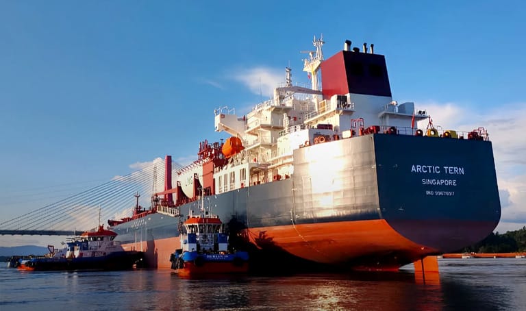 The Heroic Role of Husbandry Services in Global Maritime Operations