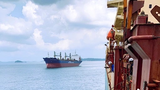A Step-by-Step Guide to Decarbonization in the Shipping Industry 11 decarbonization