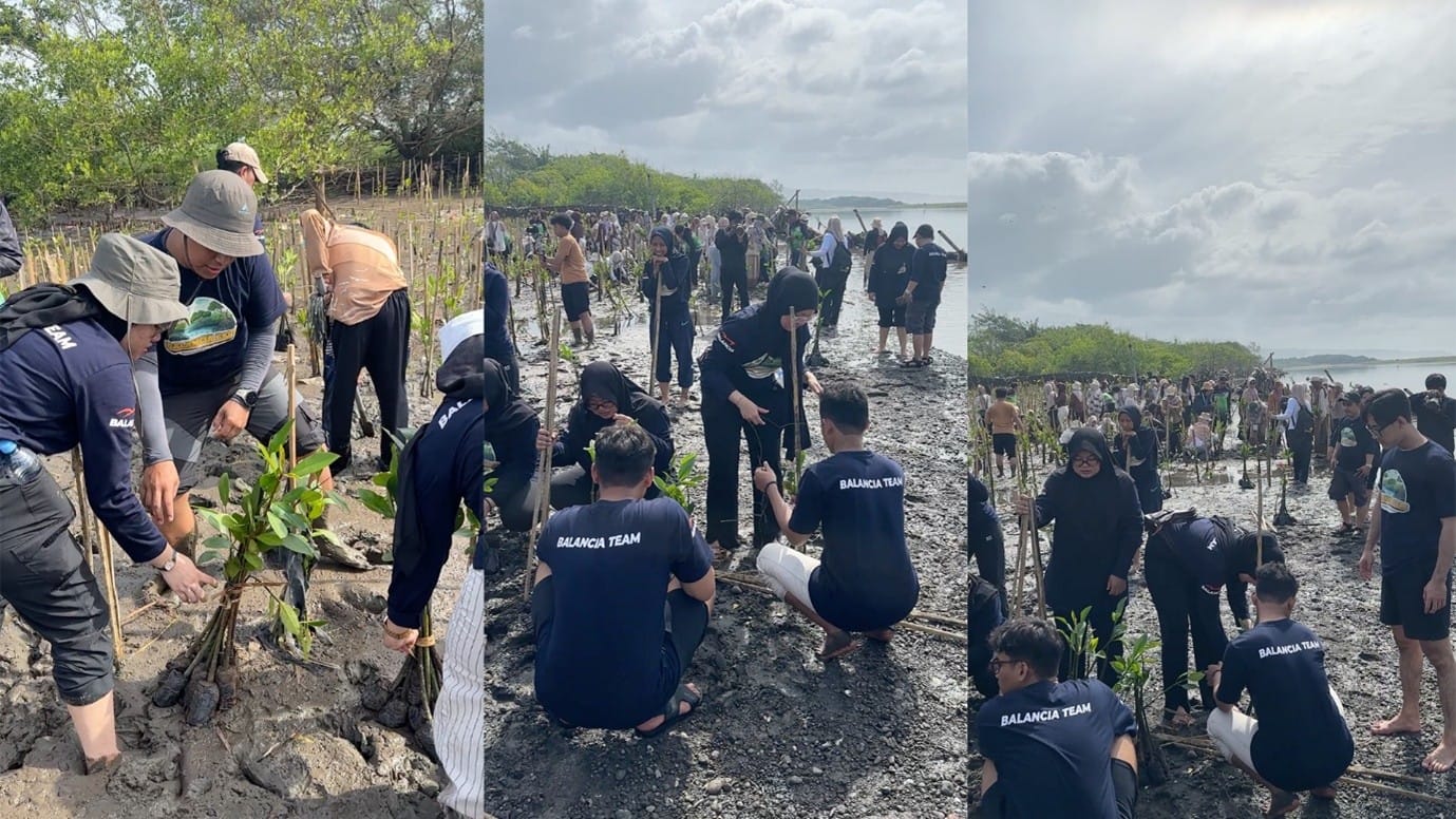 - Balancia Expands Mangrove Planting Tenfold, Urges Corporations to Act