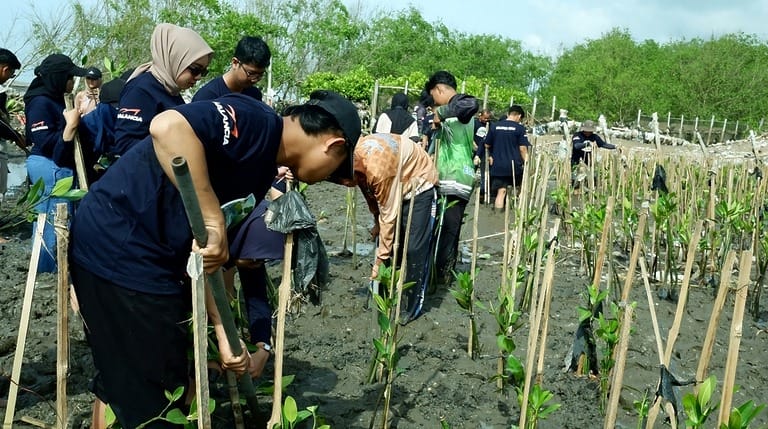 Balancia Expands Mangrove Planting Tenfold, Urges Corporations to Act