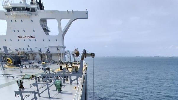 husbandry services - Husbandry Services for Daily Vessel Care in 2026