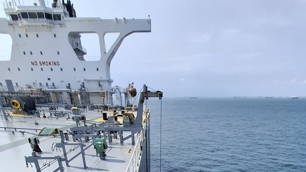 Husbandry Services for Daily Vessel Care in 2026 3 husbandry services - Husbandry Services for Daily Vessel Care in 2026