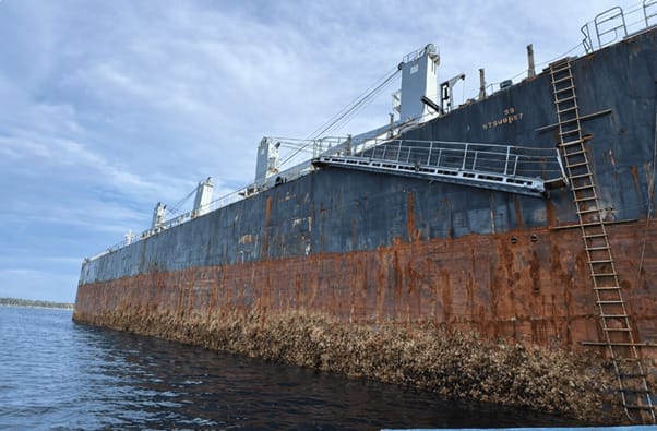 Underwater Cleaning in Indonesian Waters: Navigating Regulations and Best Practices