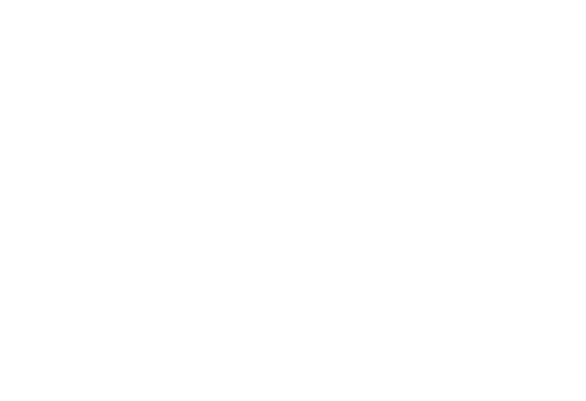 Balancia Ship Agency Logo